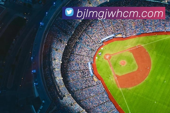 真人百家乐平台生态图