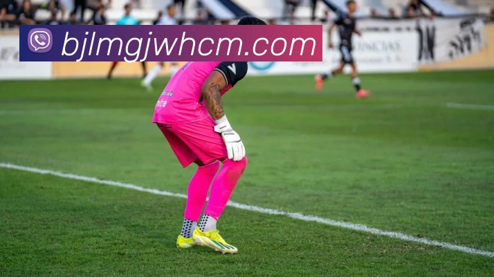 真人百家乐APP 封面图